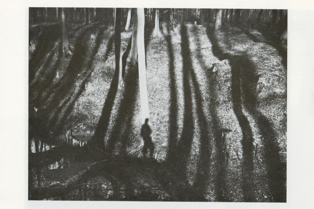 Image – fotografie, Dánsko